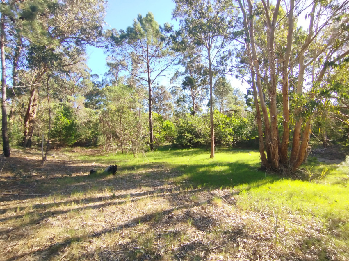 Lote de 1050m2 a pocas cuadras de la playa