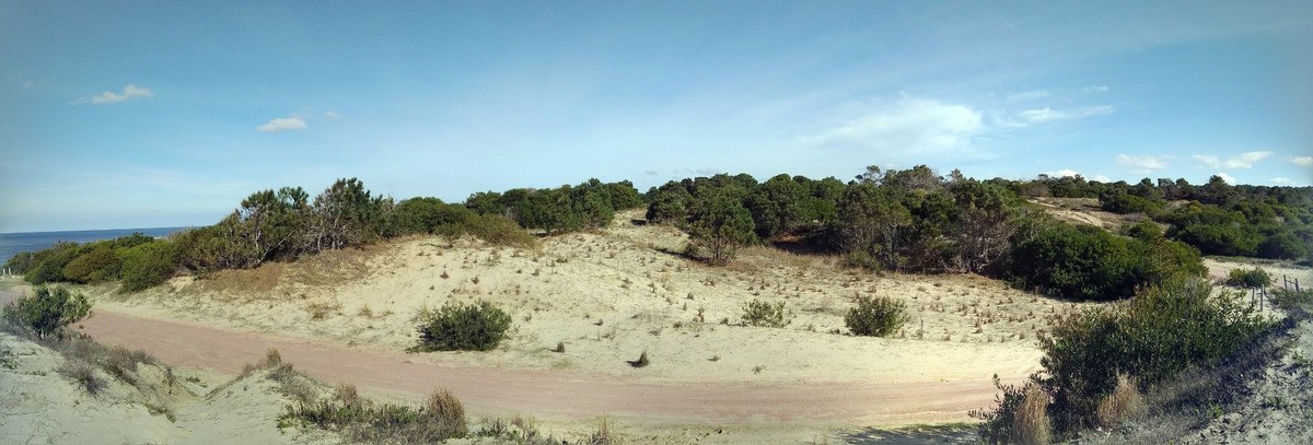 Terrenos Frente A Playa Grande - Punta Del Diablo - Mza 21