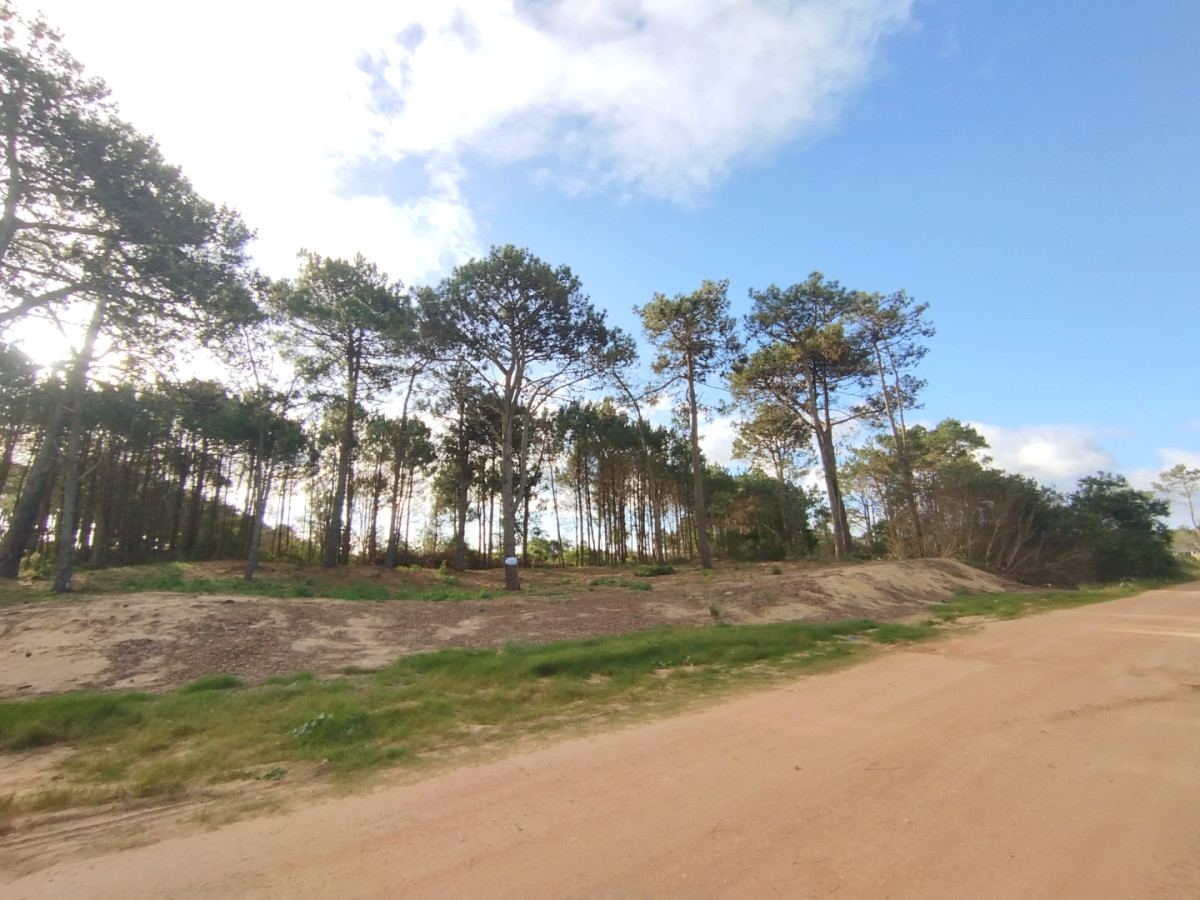 Dos terrenos juntos o separados, Punta del Diablo.