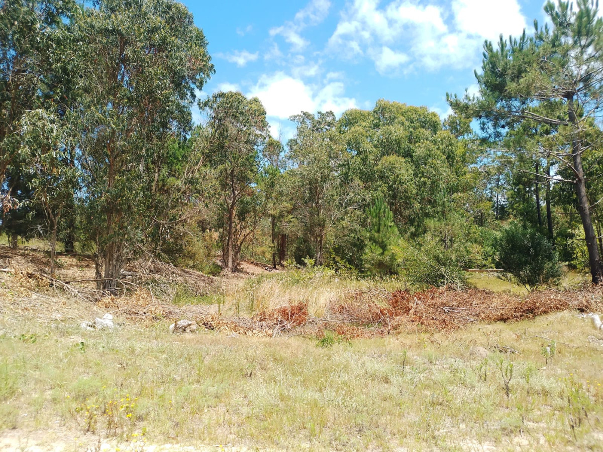 Terreno a tres cuadras del mar en La Esmeralda.