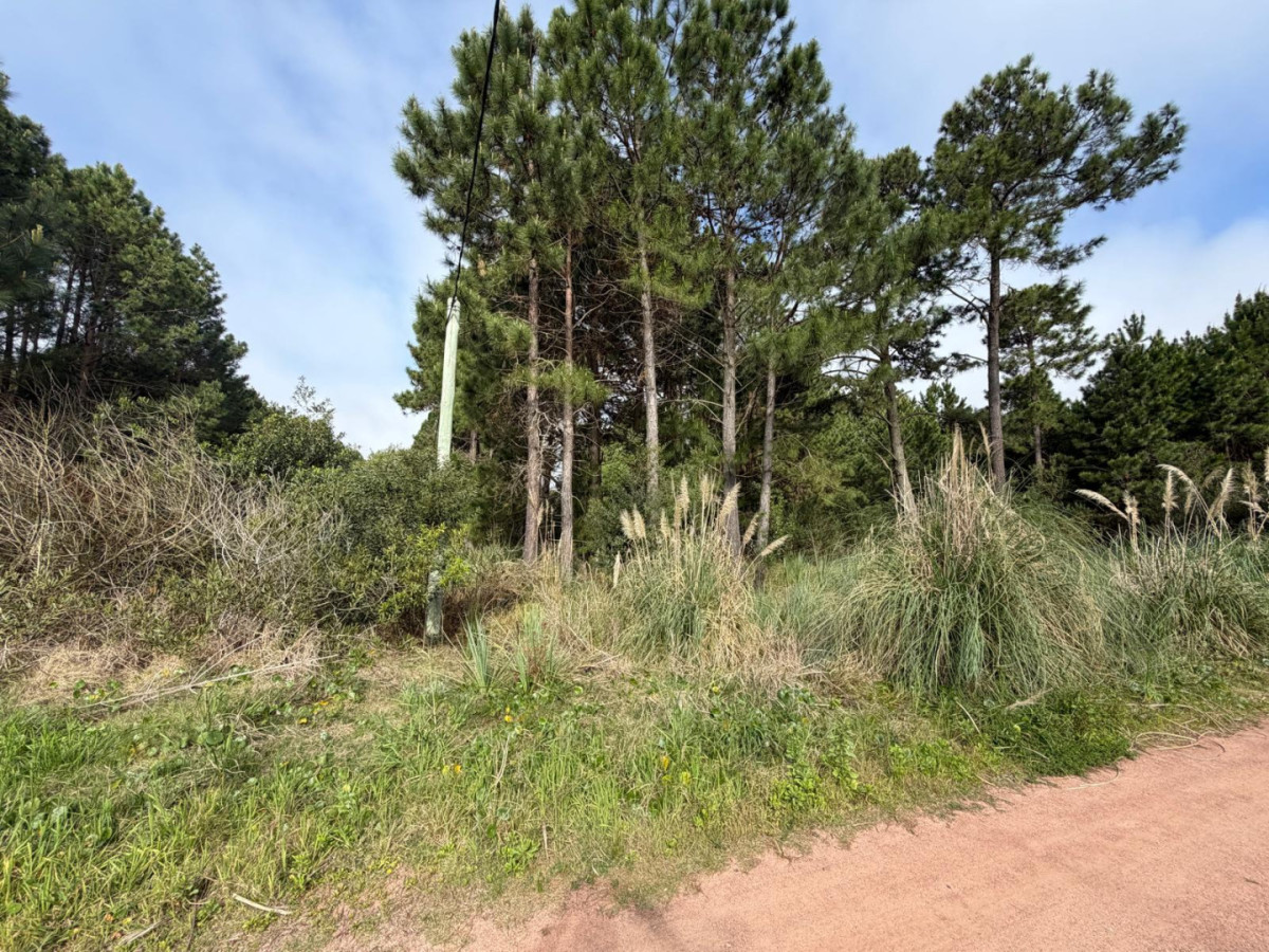 ¡ OPORTUNIDAD ! En venta 1000m2 en Punta Del Diablo Barrio Pinares