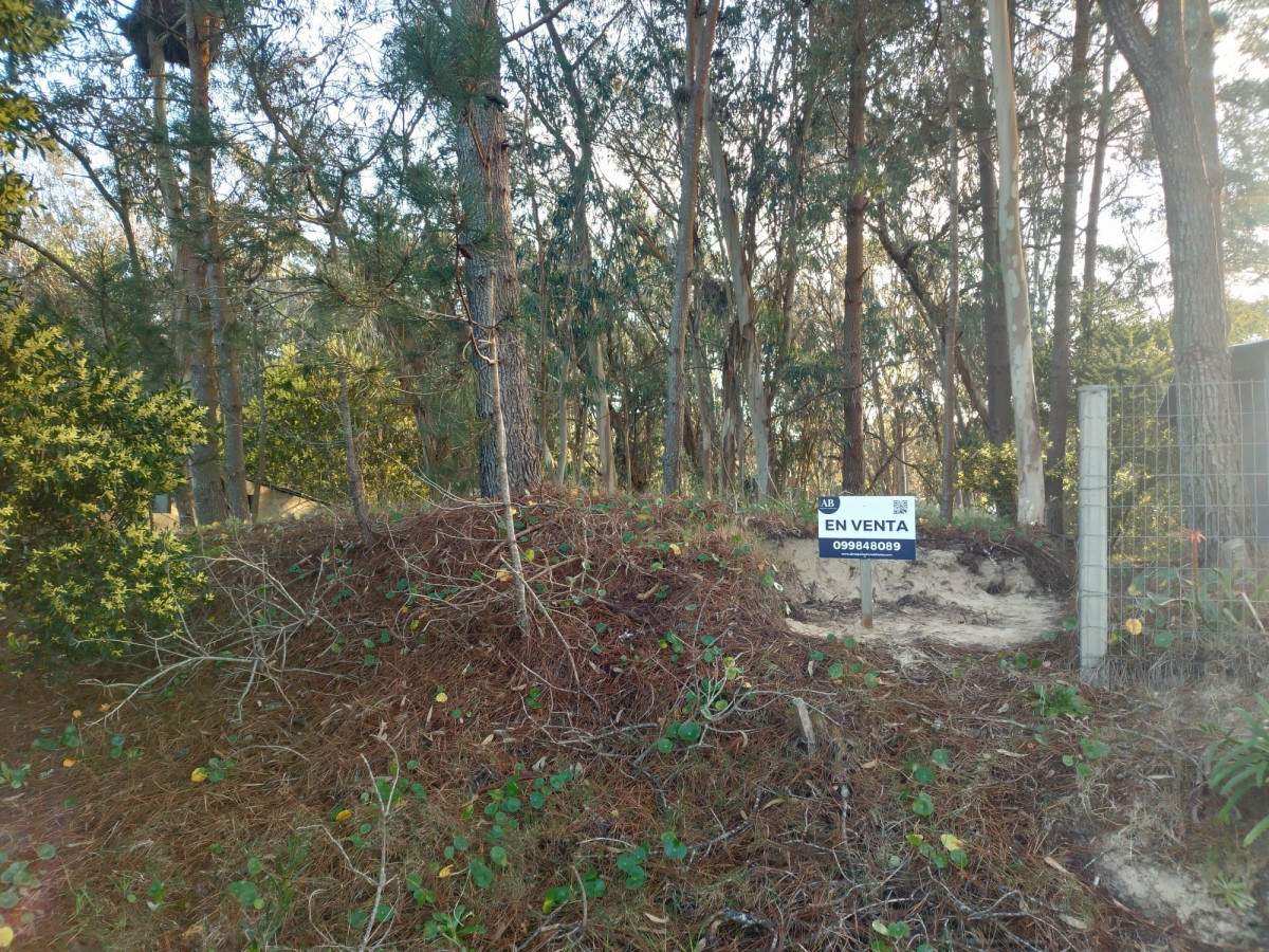 Terreno en La Esmeralda centro - Mza 312