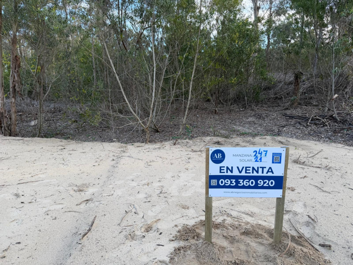 La Esmeralda. Solar 21 pura cuota. Desarrollo Virazón