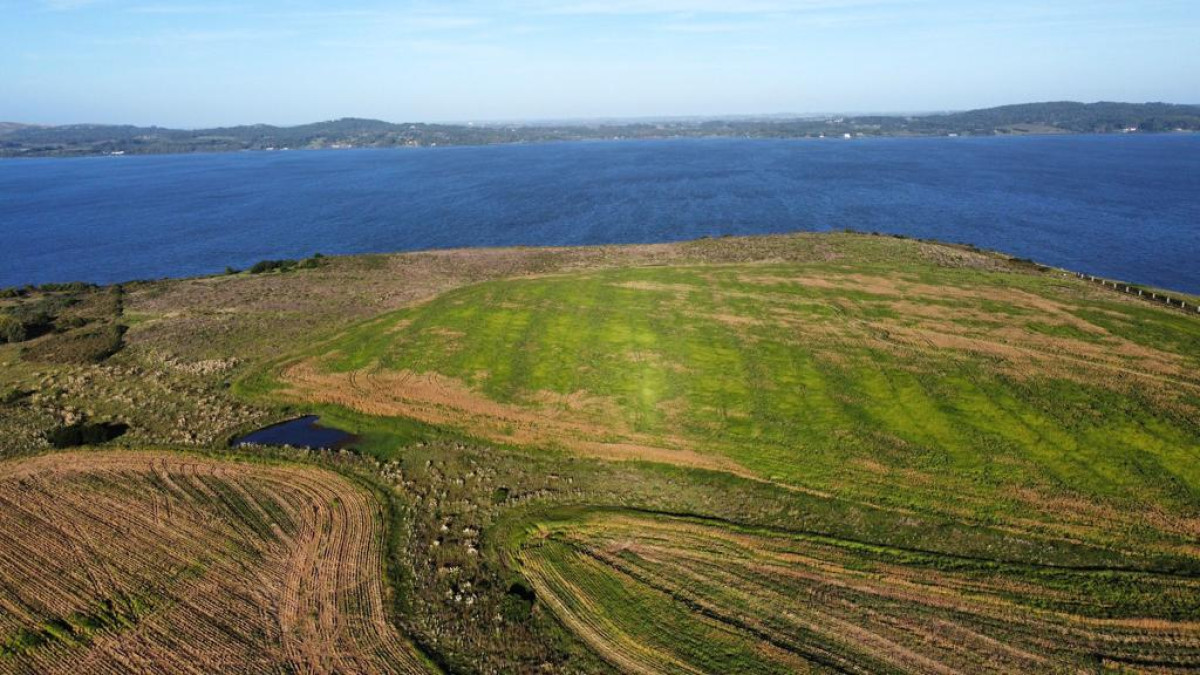Entorno panorámico con costas sobre lago