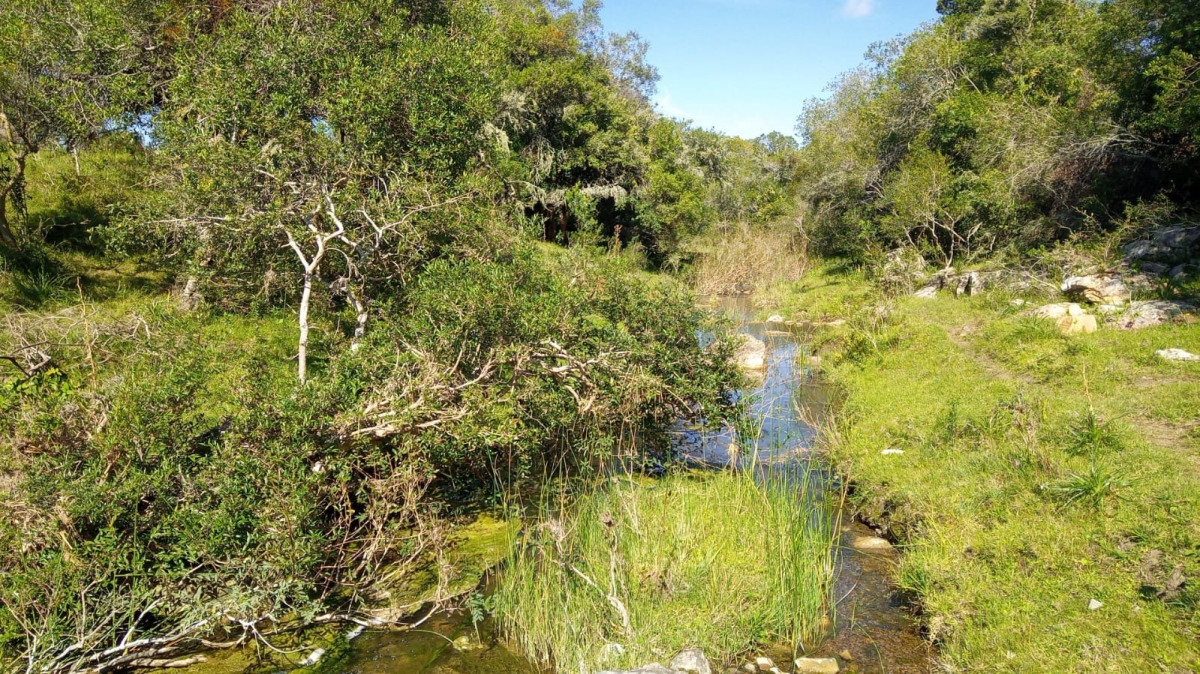 Excelente chacra de campo quebrado, cañada y árboles autóctonos