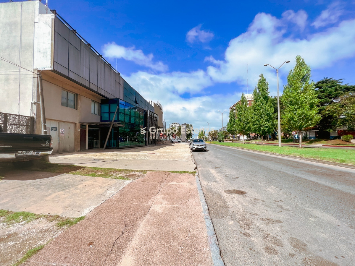Maldonado - GoPunta - Portal Inmobiliario de Punta del Este - Maldonado