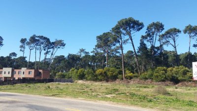 Venta de Terreno y lotes en Pinares