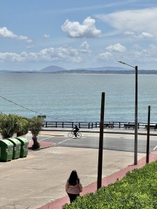 ALQUILER TEMPORARIO DE APARTAMETNO DE 1 DORMITORIO EN EL PUERTO PUNTA DEL ESTE