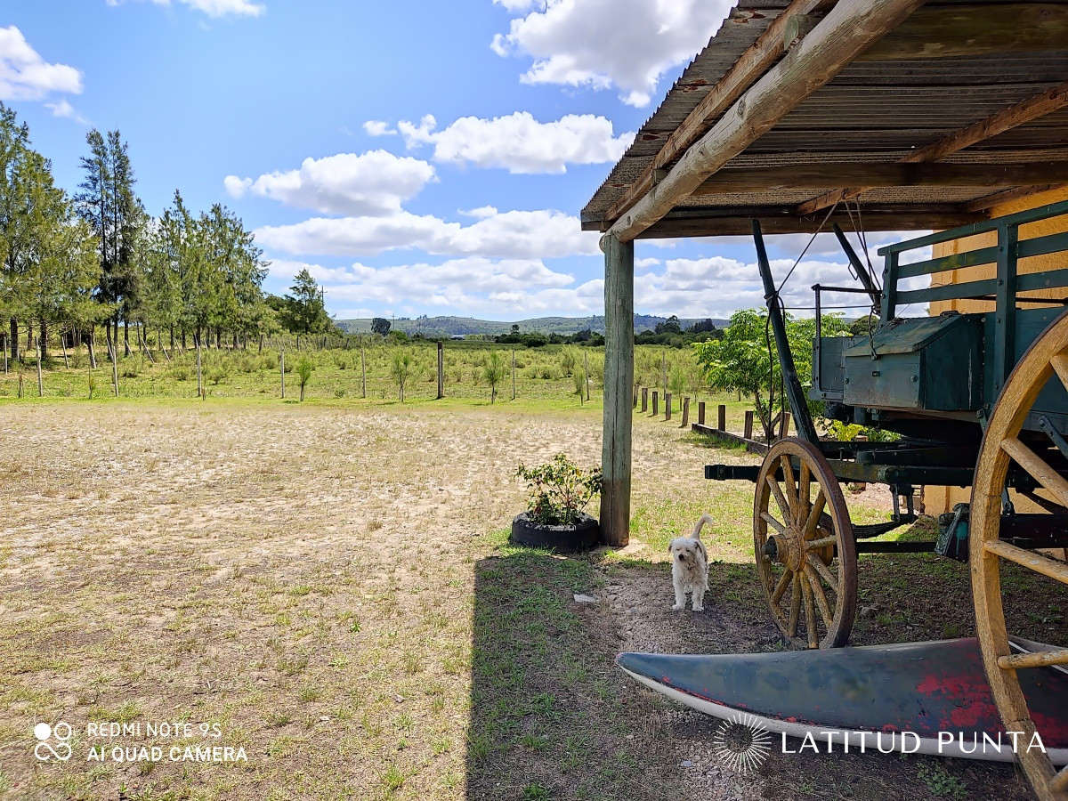 Ruta 9 - GoPunta - Portal Inmobiliario de Punta del Este - Maldonado