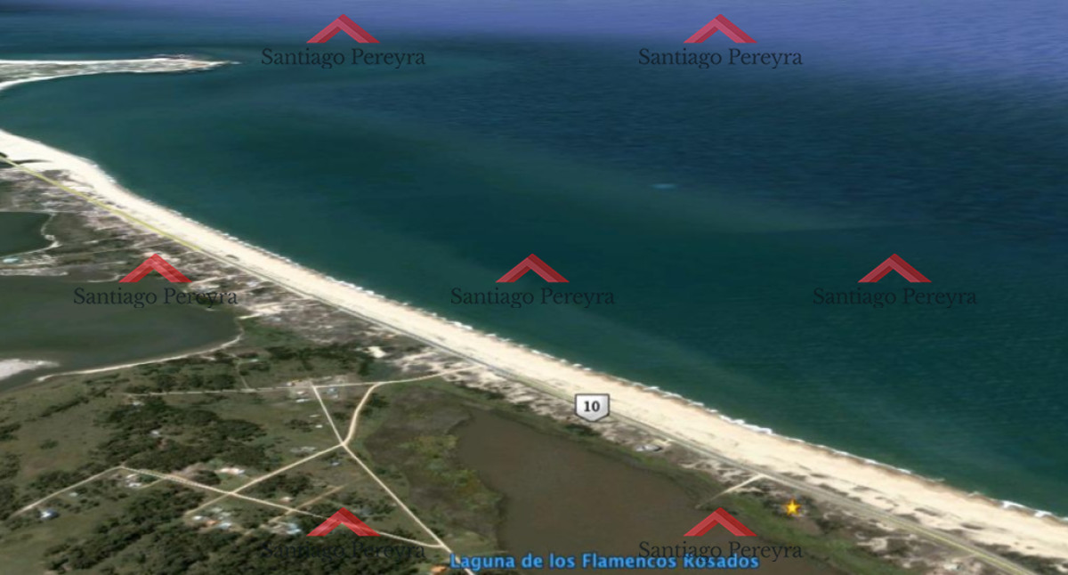 Santa Monica - GoPunta - Portal Inmobiliario de Punta del Este - Maldonado