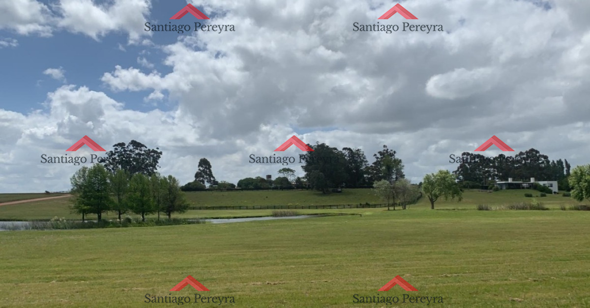 El Quijote - GoPunta - Portal Inmobiliario de Punta del Este - Maldonado