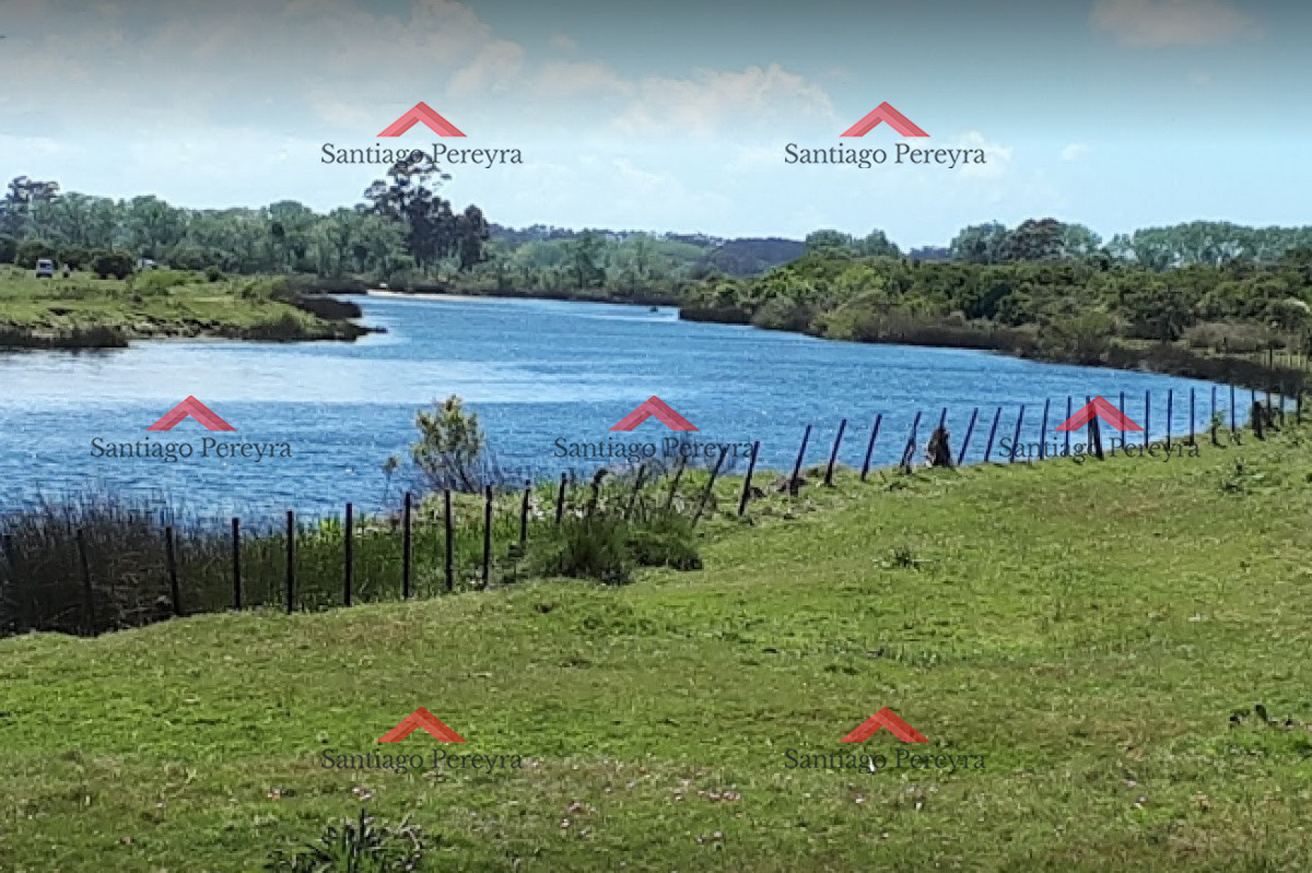 El Quijote - GoPunta - Portal Inmobiliario de Punta del Este - Maldonado