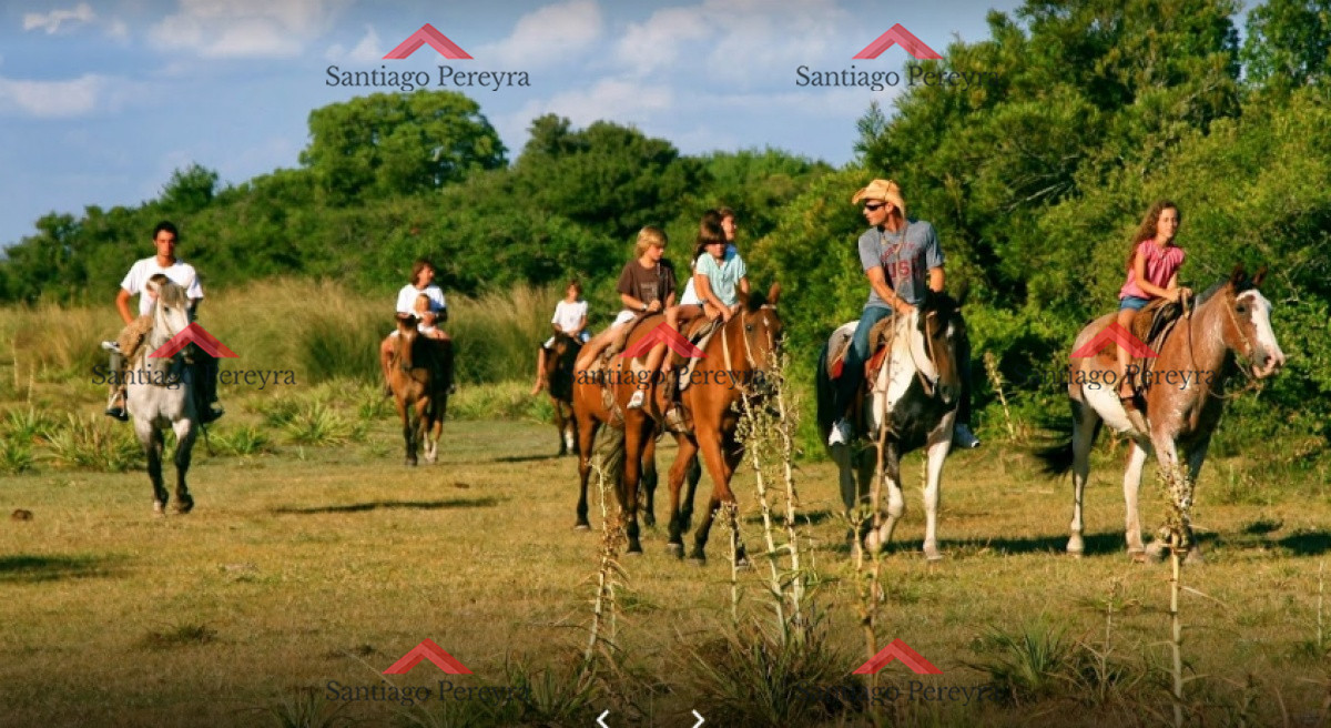 El Quijote - GoPunta - Portal Inmobiliario de Punta del Este - Maldonado