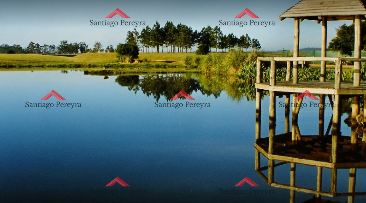 El Quijote - GoPunta - Portal Inmobiliario de Punta del Este - Maldonado