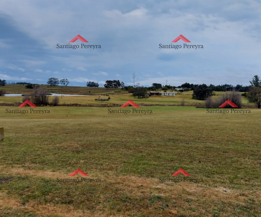 El Quijote - GoPunta - Portal Inmobiliario de Punta del Este - Maldonado