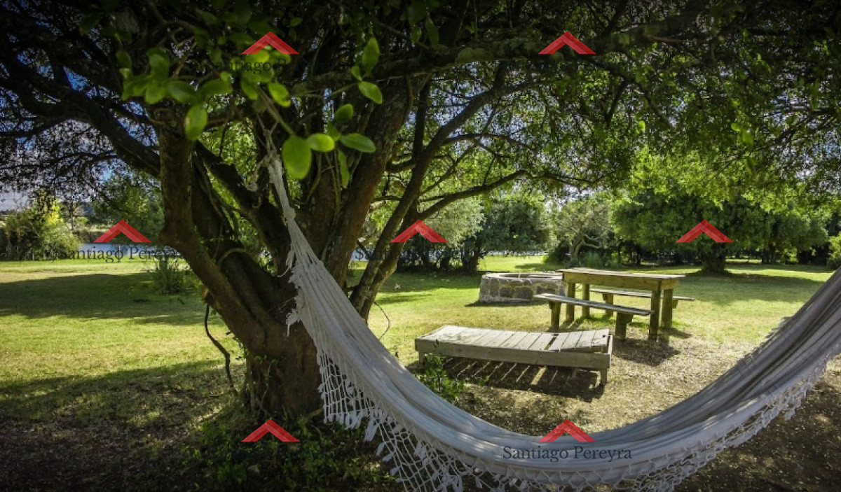 El Quijote - GoPunta - Portal Inmobiliario de Punta del Este - Maldonado