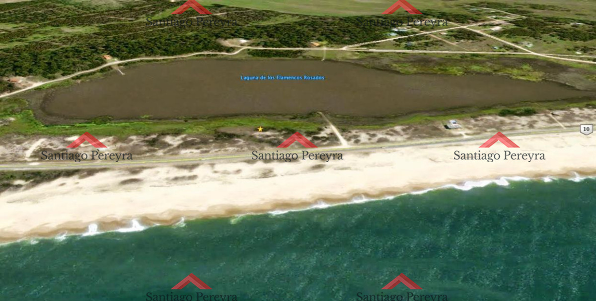 Santa Monica - GoPunta - Portal Inmobiliario de Punta del Este - Maldonado