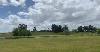 Lote con vistas a la Laguna  en Barrio privado La Barra 