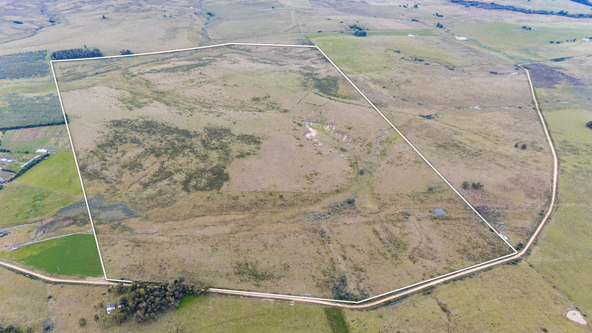 Venta campo 120 hectáreas, Garzón , Maldonado 