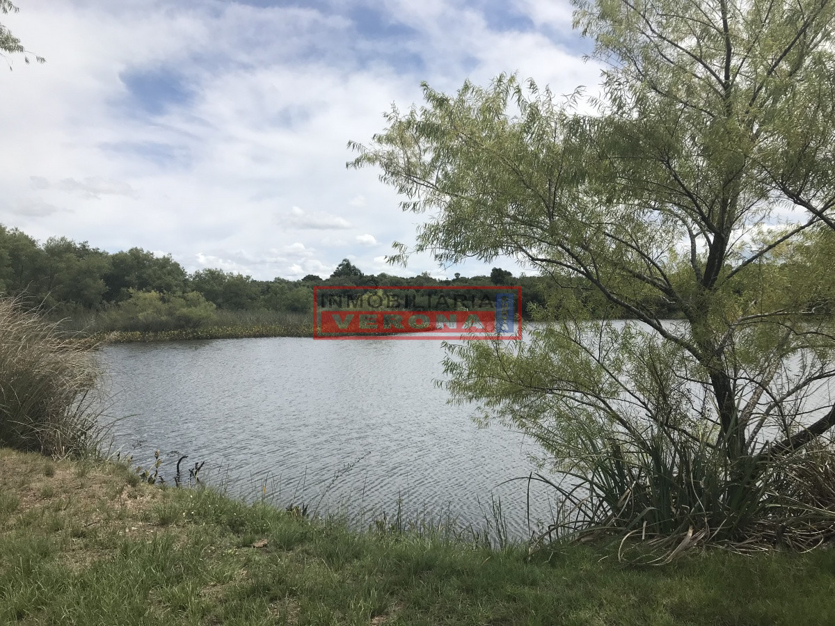 Ruta 9 - GoPunta - Portal Inmobiliario de Punta del Este - Maldonado