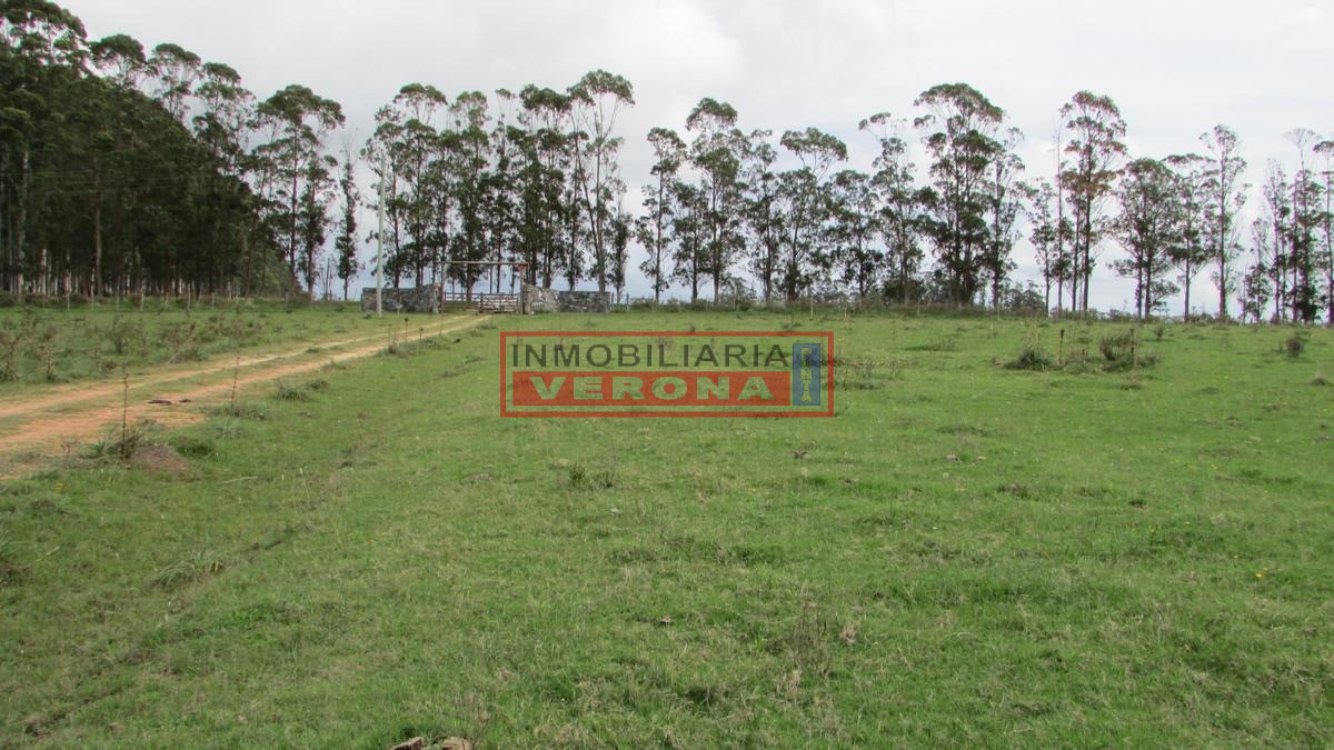 José Ignacio - GoPunta - Portal Inmobiliario de Punta del Este - Maldonado