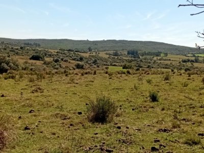 Oportunidad de Inversión en Garzón: 5 Hectáreas de Alto Potencial