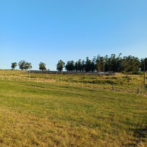59 Hectáreas sobre Ruta 9 con Vista a José Ignacio.
