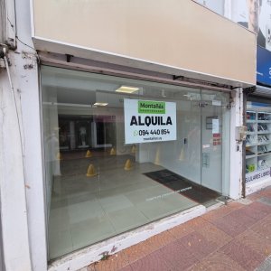 ? LOCAL COMERCIAL EN PEATONAL SARANDÍ - MÁXIMA EXPOSICIÓN