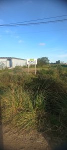 Terreno 300 mt2 buena ubicación 