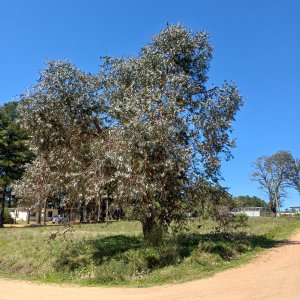 Extraordinario terreno esquinero de 1000 mt2