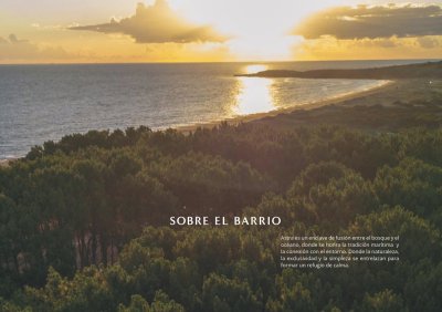 Donde el bosque y el mar construyen valor!!  ASTRA