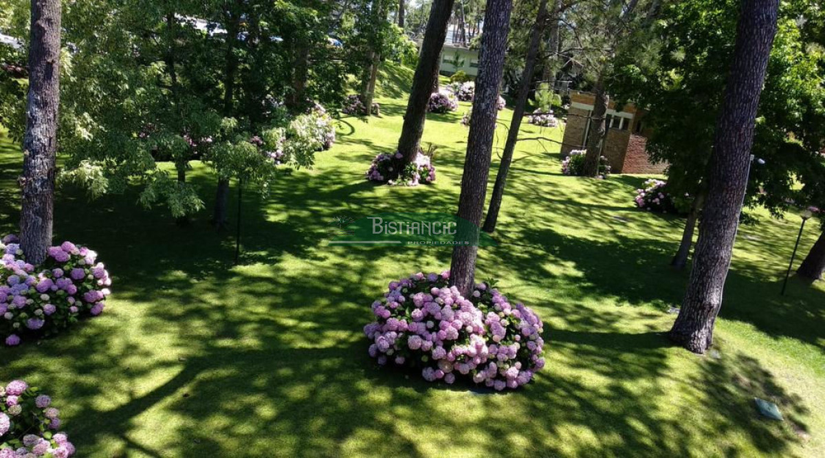Arcobaleno - GoPunta - Portal Inmobiliario de Punta del Este - Maldonado