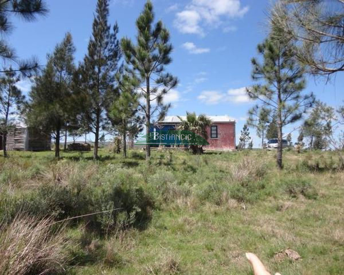2112 23 - GoPunta - Portal Inmobiliario de Punta del Este - Maldonado