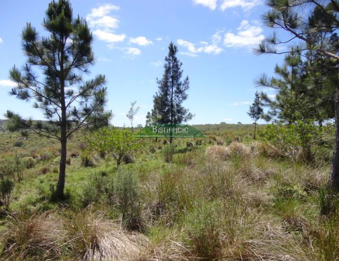 2112 23 - GoPunta - Portal Inmobiliario de Punta del Este - Maldonado