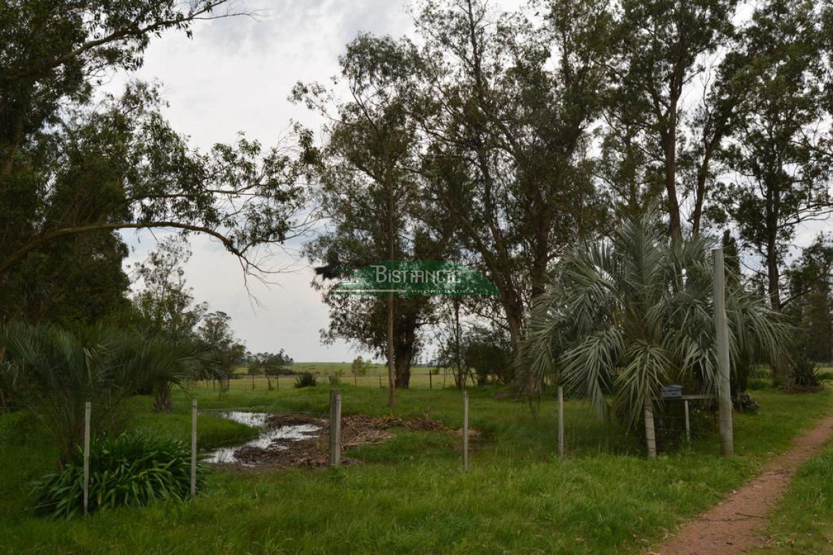 Comoda Chacra cerca a la Pataia - GoPunta - Portal Inmobiliario de Punta del Este - Maldonado