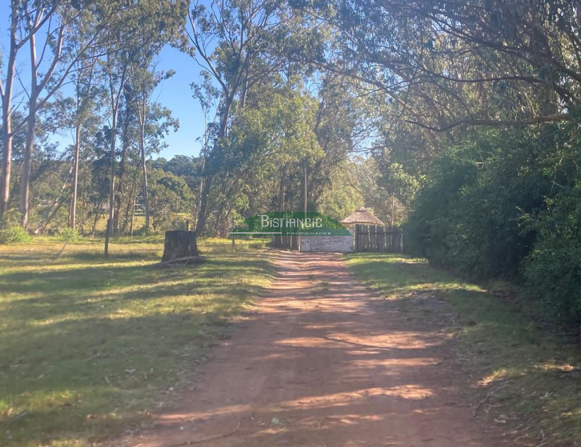 Chacra Punta Ballena, 4,5 hect casa 350m2,  665000 - GoPunta - Portal Inmobiliario de Punta del Este - Maldonado