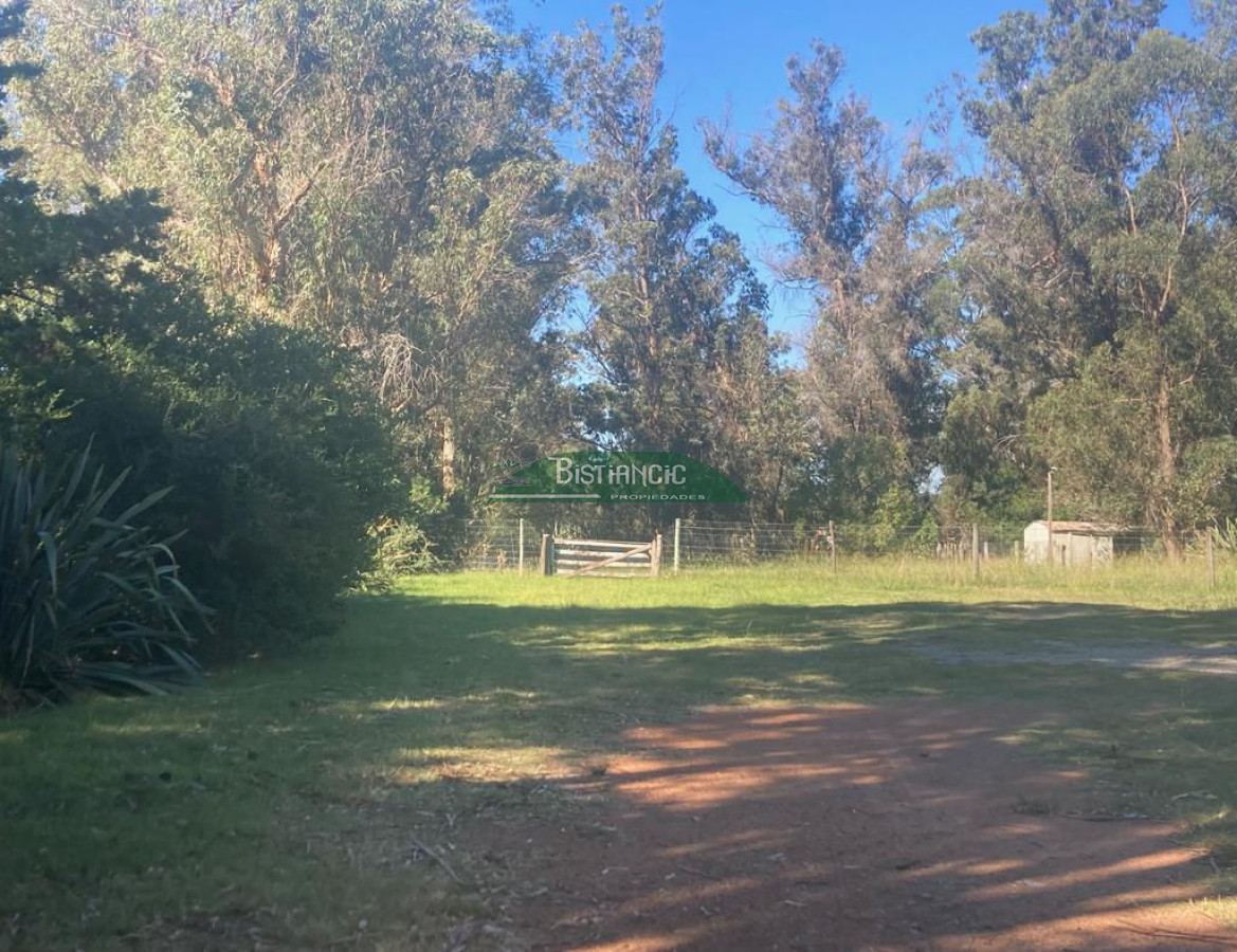Chacra Punta Ballena, 4,5 hect casa 350m2,  665000 - GoPunta - Portal Inmobiliario de Punta del Este - Maldonado