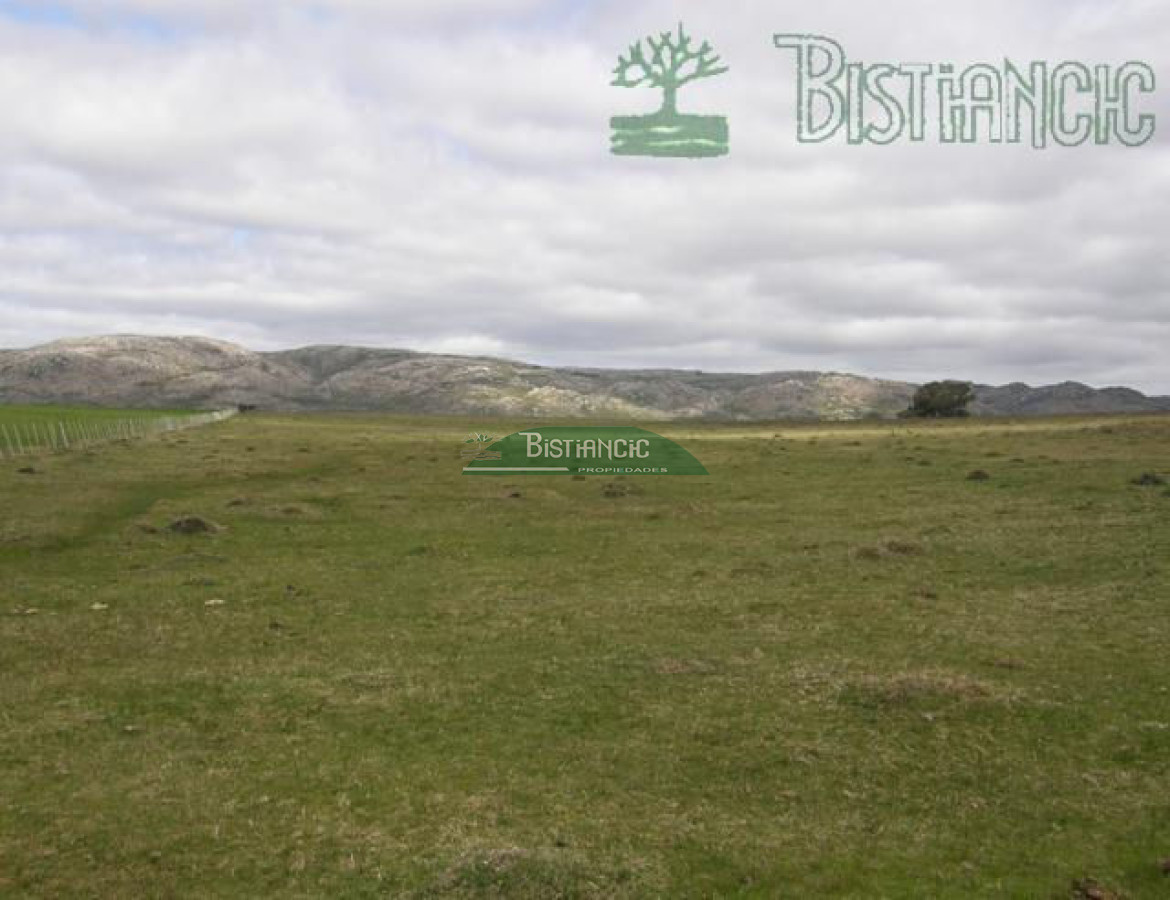 Campo en , - GoPunta - Portal Inmobiliario de Punta del Este - Maldonado