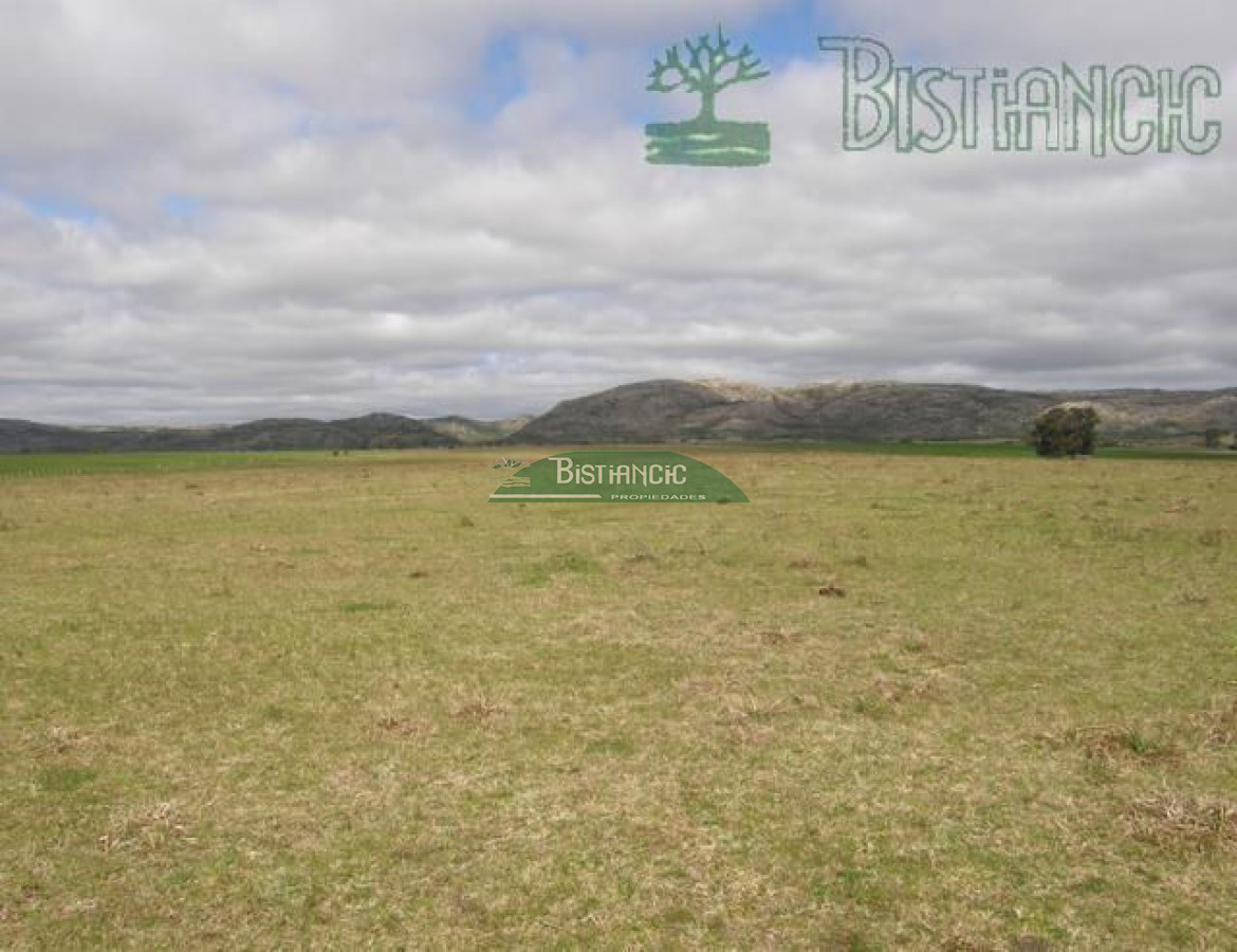Campo en , - GoPunta - Portal Inmobiliario de Punta del Este - Maldonado