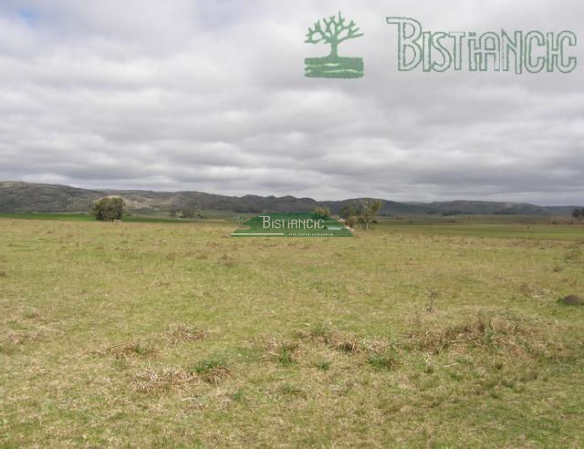 Campo en , - GoPunta - Portal Inmobiliario de Punta del Este - Maldonado