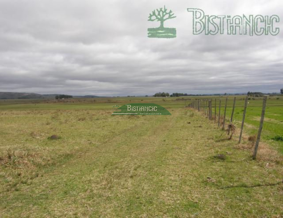 Campo en , - GoPunta - Portal Inmobiliario de Punta del Este - Maldonado