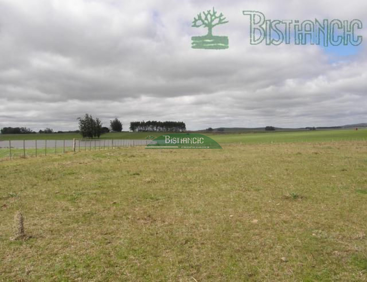 Campo en , - GoPunta - Portal Inmobiliario de Punta del Este - Maldonado
