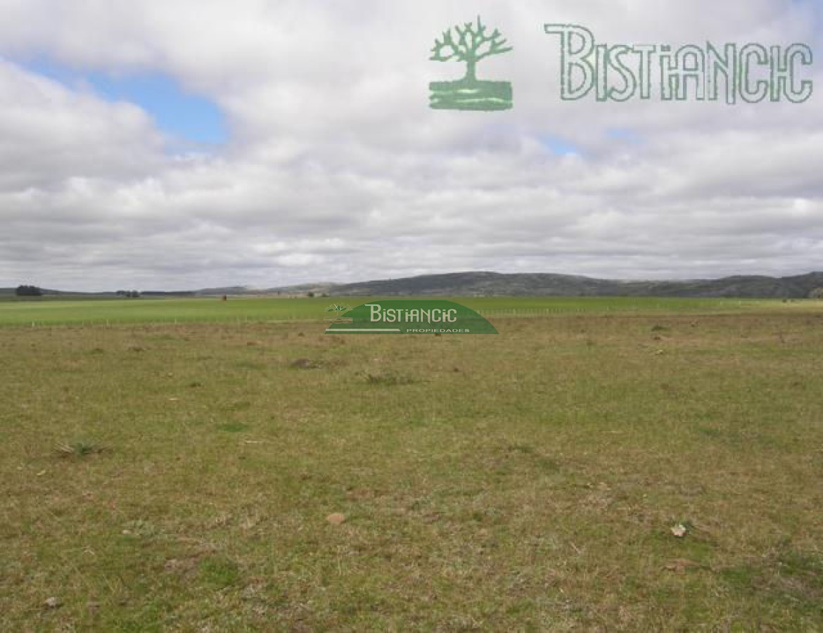 Campo en , - GoPunta - Portal Inmobiliario de Punta del Este - Maldonado