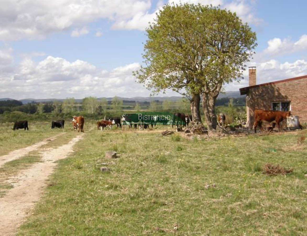 Campo en , - GoPunta - Portal Inmobiliario de Punta del Este - Maldonado