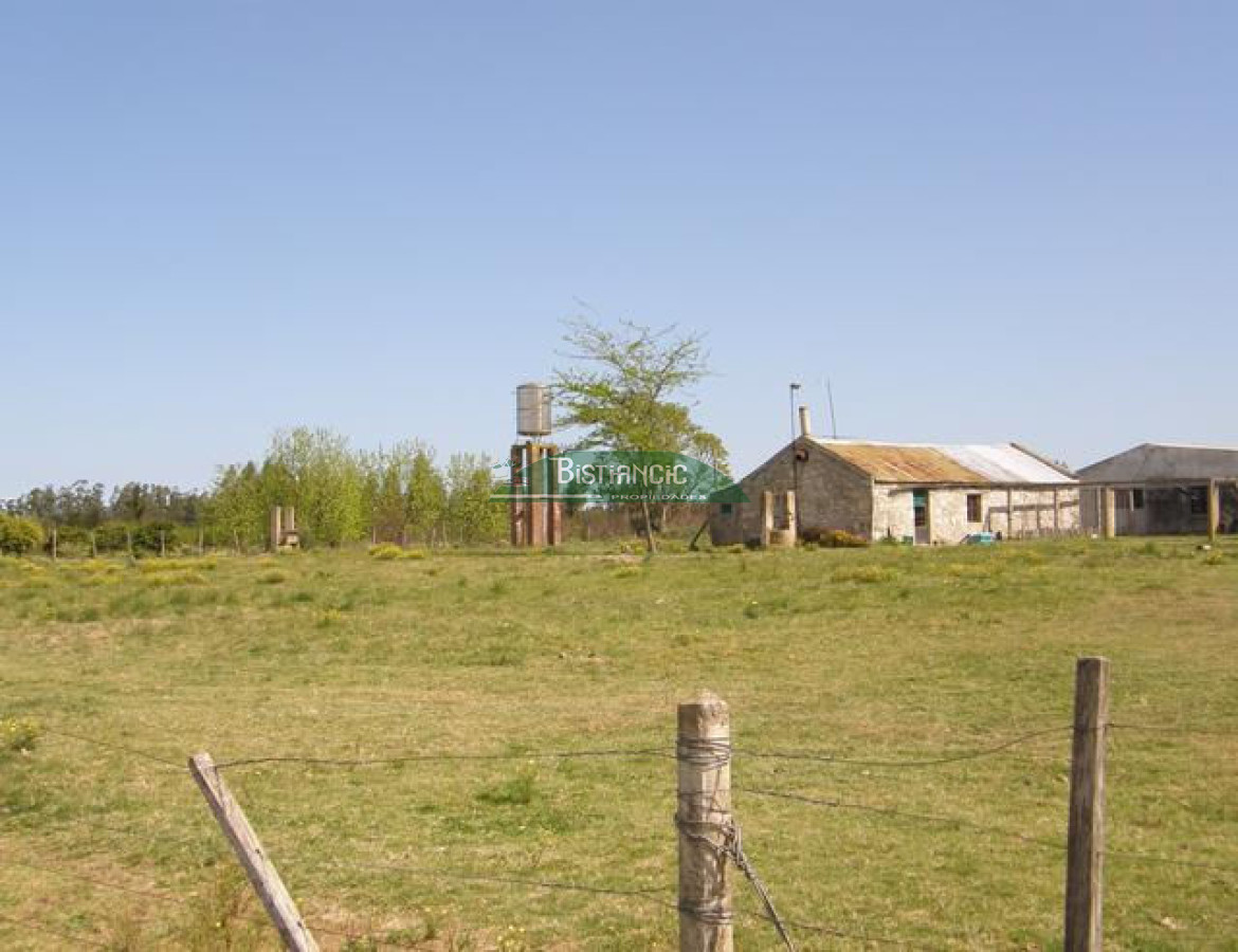 Campo en , - GoPunta - Portal Inmobiliario de Punta del Este - Maldonado