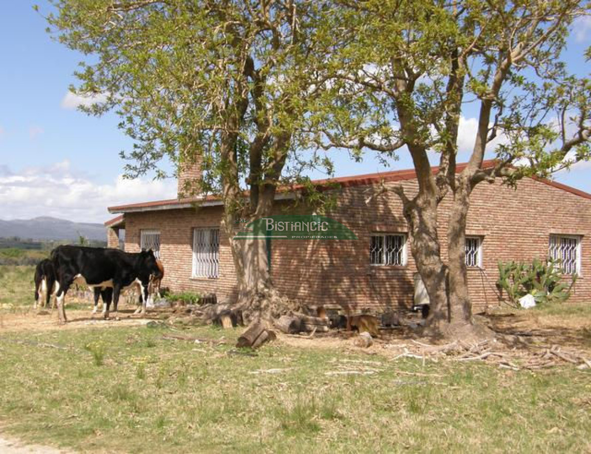 Campo en , - GoPunta - Portal Inmobiliario de Punta del Este - Maldonado