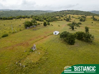 Campo 54 hectáreas. Prox Aiguá, Frente sobre ruta 109 