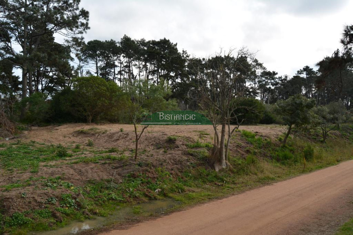 Pinares - GoPunta - Portal Inmobiliario de Punta del Este - Maldonado