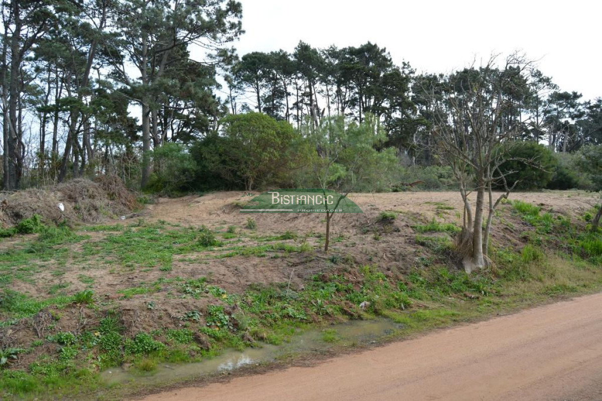 Pinares - GoPunta - Portal Inmobiliario de Punta del Este - Maldonado