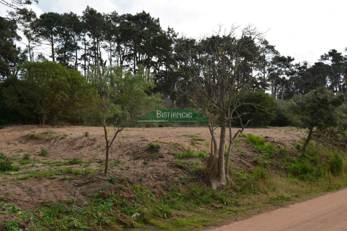 Pinares - GoPunta - Portal Inmobiliario de Punta del Este - Maldonado